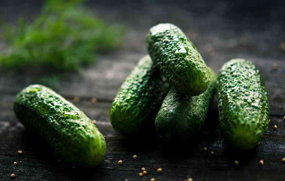 Recept za pitu sa kiselim krastavcima