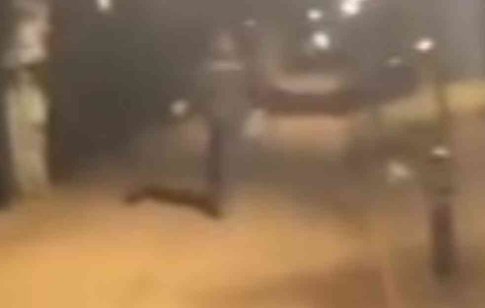 PRAVA FILMSKA POTERA U BEOGRADU: Provalnik upao u stan starije žene, pa počeo da beži kroz prozor (VIDEO)