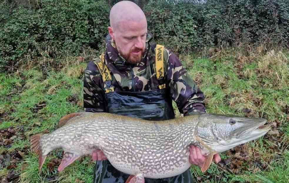 PECAROŠ OBORIO STARI REKORD: Uhvatio štuku od 21,5 kilograma