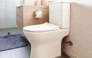 HOROR NA TAJLANDU! ŽENA UGLEDALA ZVER U <span style='color:red;'><b>WC</b></span> ŠOLJI: 