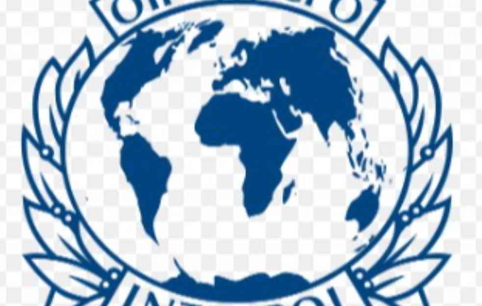 ŽUTA POTERNICA ZA DANKOM ILIĆ: I Interpol traga za nestalom devojčicom iz Srbije
