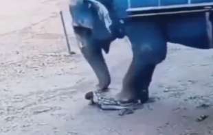 Kamera sve snimila: Slonica ubila čuvara oborila ga, pa izgazila (VIDEO)