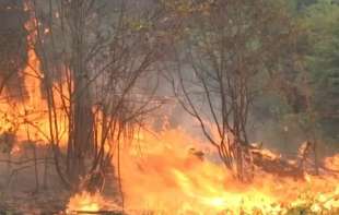 DRAMA NA PLANINI VIDLIČ I DALJE TRAJE: Gašenje požara otežava nepristupačan teren! (FOTO)