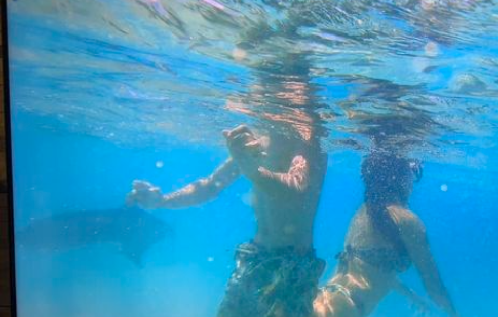 (VIDEO) Uznemirujuće! Ajkula pored plaže Elafonisi na Kritu! Srpski turisti bili u vodi
