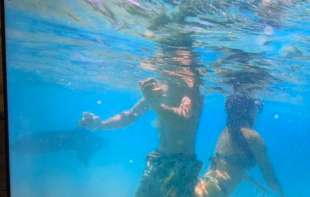 (VIDEO) Uznemirujuće! Ajkula pored <span style='color:red;'><b>plaže</b></span> Elafonisi na Kritu! Srpski turisti bili u vodi