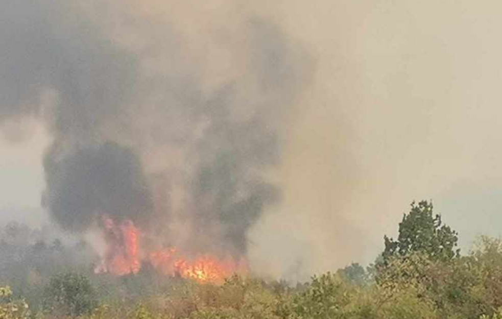 Veliki požar u prokupačkom kraju – gore šuma i voćnjaci! Radan planina se ne vidi od dima
