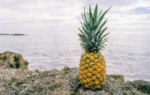 Španski kupci koriste ananas da pronađu ljubav u <span style='color:red;'><b>supermarket</b></span>u