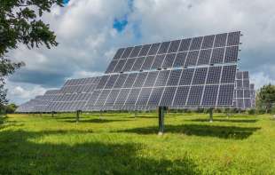 Bačka <span style='color:red;'><b>Topola</b></span>: Pašnjak ispod solarne elektrane