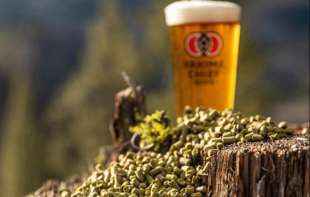 Od voćnog povrća napravili <span style='color:red;'><b>pivo</b></span> – Dva su osvojila nagradu