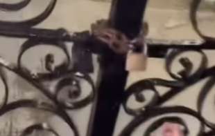 Ostala <span style='color:red;'><b>zaključan</b></span>a na groblju sa ćerkom i snajkom: Evo kako su se izvukle (VIDEO)