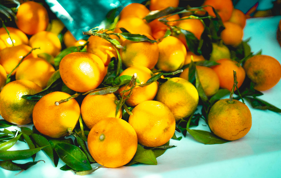 Bolest mandarina ih dotukla: Berba manja skoro 30 odsto