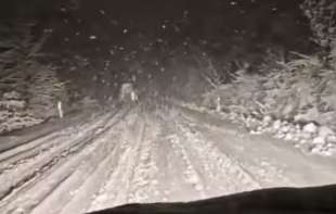 STRAŠNO: Vozio traktor bez ikakvog osvetljenja, sreća pa nema mrtvih! (VIDEO)