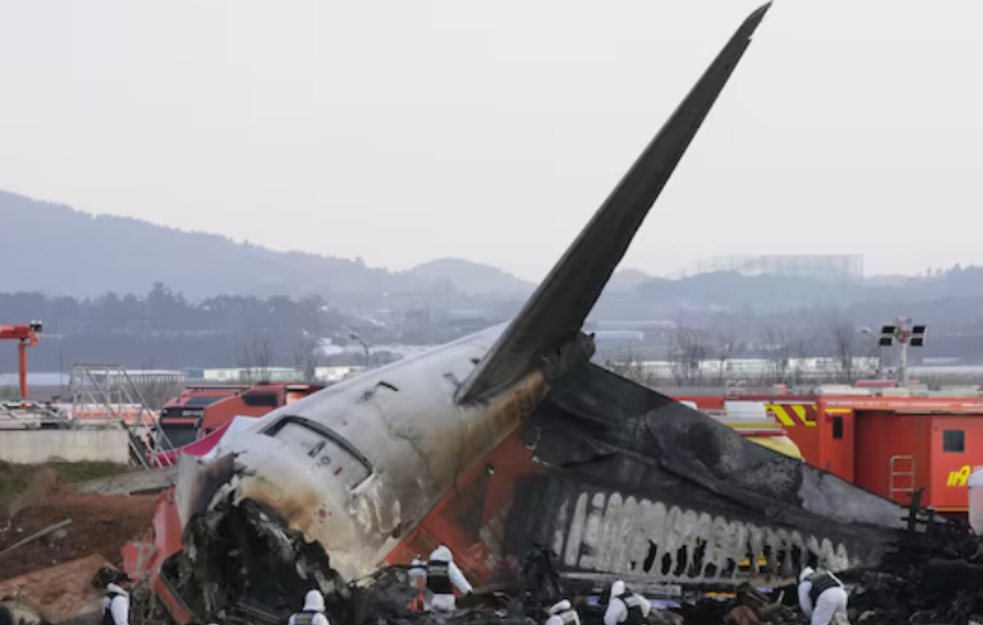Pronađeno ptičje perje i krv u motorima aviona koji se srušio u J. Koreji