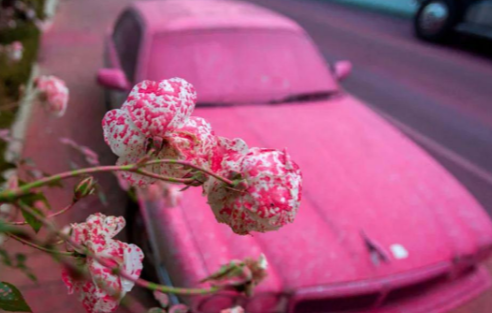 Otkriveno zašto je Los Anđeles postao jarko roze boje u jeku požara (FOTO)