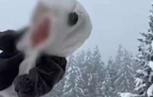 Bacio bebu u sneg: Sad ga traži policija, on se pravda da je <span style='color:red;'><b>lutka</b></span> (VIDEO)