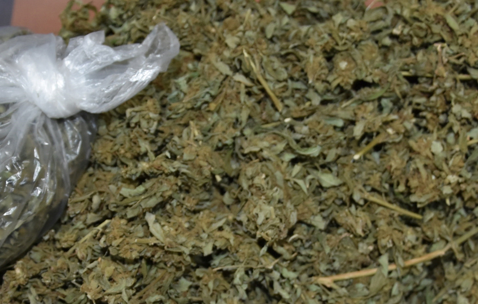 Dačić: Policija zaplenila preko 100 kilograma marihuane
