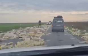 Saobraćajni incident kod Idvora: Ispao teret sa flašama ulja iz kamiona (VIDEO)