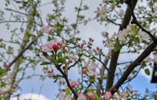 Zimski udar u aprilu: Hladno <span style='color:red;'><b>jutro</b></span> i promenljivo vreme širom Srbije