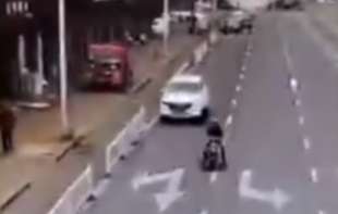 Pas upravljao vozilom, napravio haos na ulici (VIDEO)