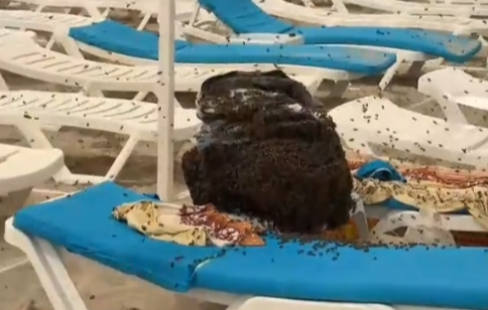 Ponela ručak na plažu, pa otišla da se kupa: Ono što ju je sačekalo je kao iz horor filma (VIDEO)
