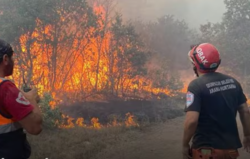 Deset vatrogasaca poginulo u borbi s požarom u Turskoj, 14 povređenih