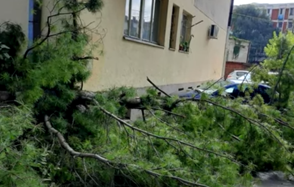 Olujno nevreme u Požarevcu izazvalo veliku štetu na drvoredima, parkovima i objektima  
