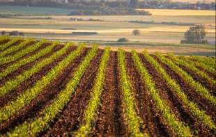 Valjevski poljoprivrednici dobijaju rekordne subvencije iz gradske kase