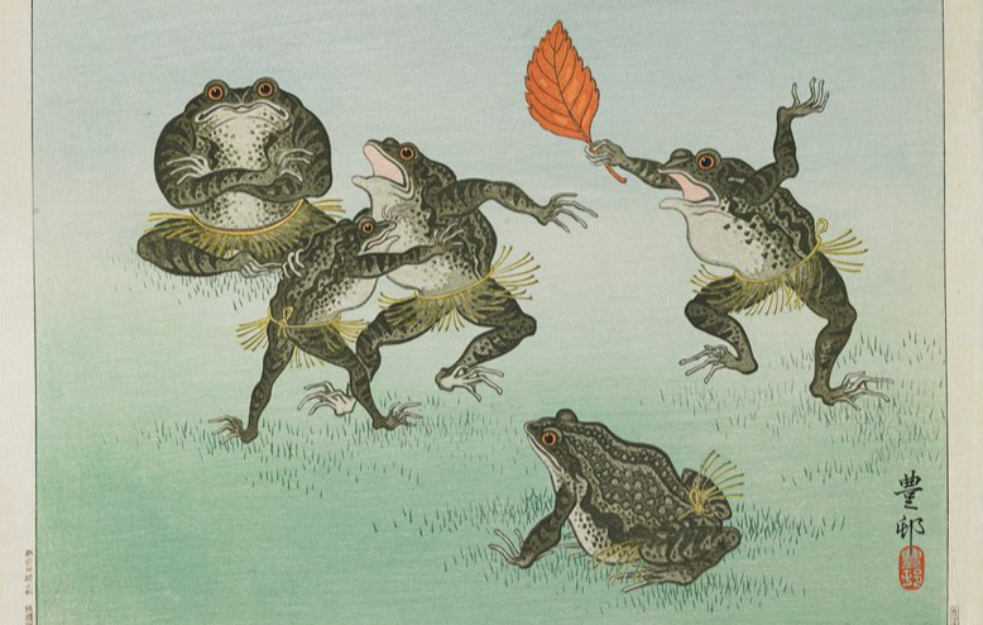 Nova vrsta žabe otkrivena u Kini