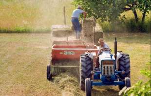 Za subvencije poljoprivredi naredne godine 116 milijardi dinara