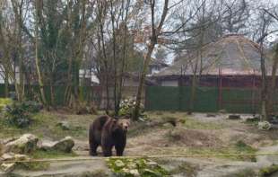 Direktorka Zoo vrta Palić:  Sve životinje u zoo vrtu imaju kvalitetnu hranu i negu