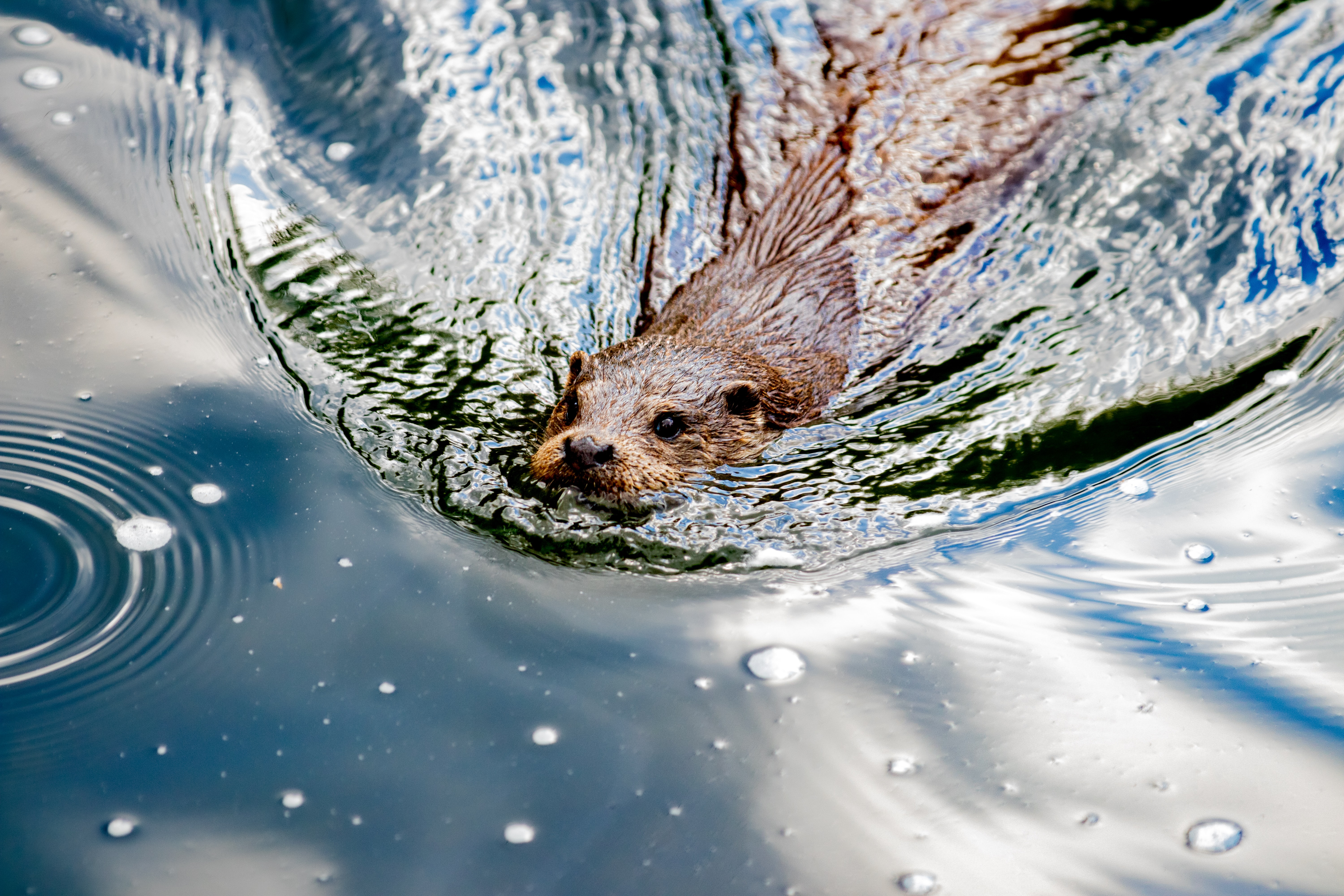 Unsplash/Andreas Schantl