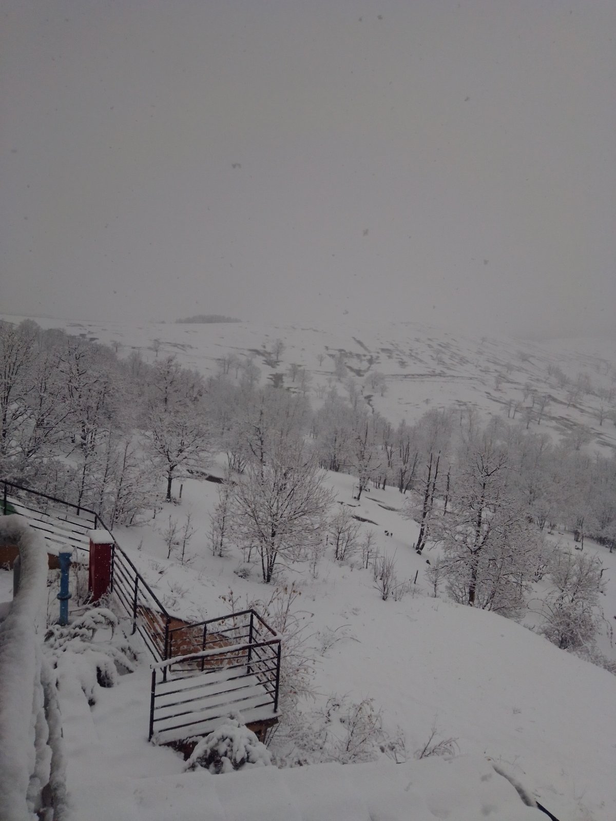 Sneg Zlatibor, Glas javnosti