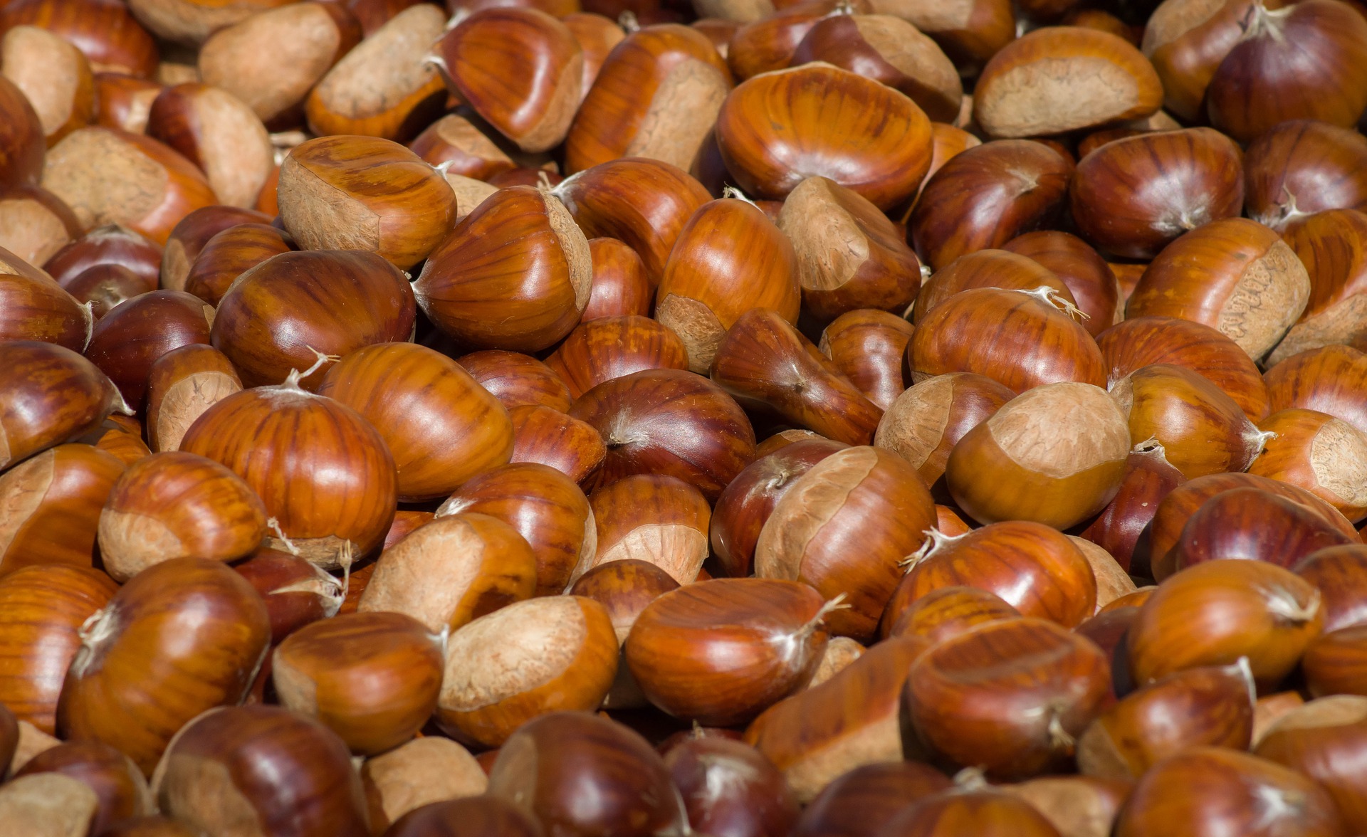chestnuts-g64a96b752_1920