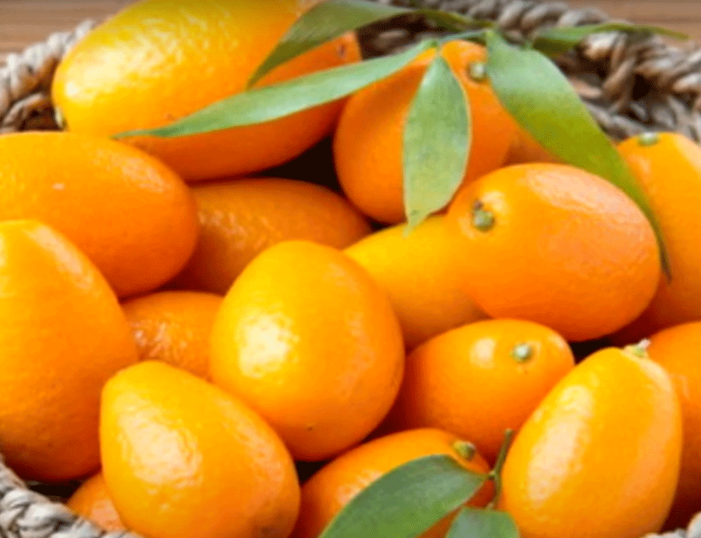 Kumkvat – zdravo voće