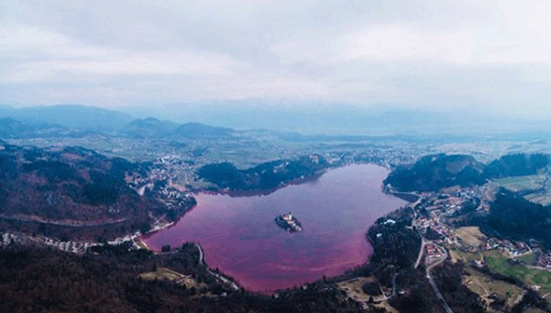 Zašto je ljubičasto Bledsko jezero?