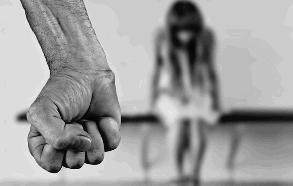 SRBIN BRUTALNO TUKAO TRUDNU ŽENU: Osuđen u Francuskoj na šest meseci uslovnog zatvora
