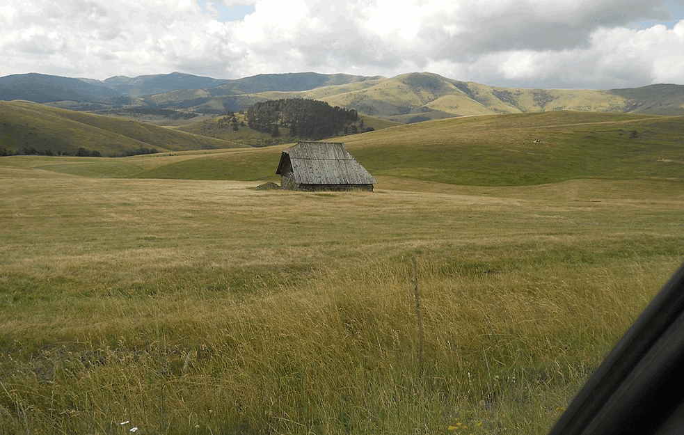 Zlatibor čuva svoja semena biljaka i životinja na sigurnom