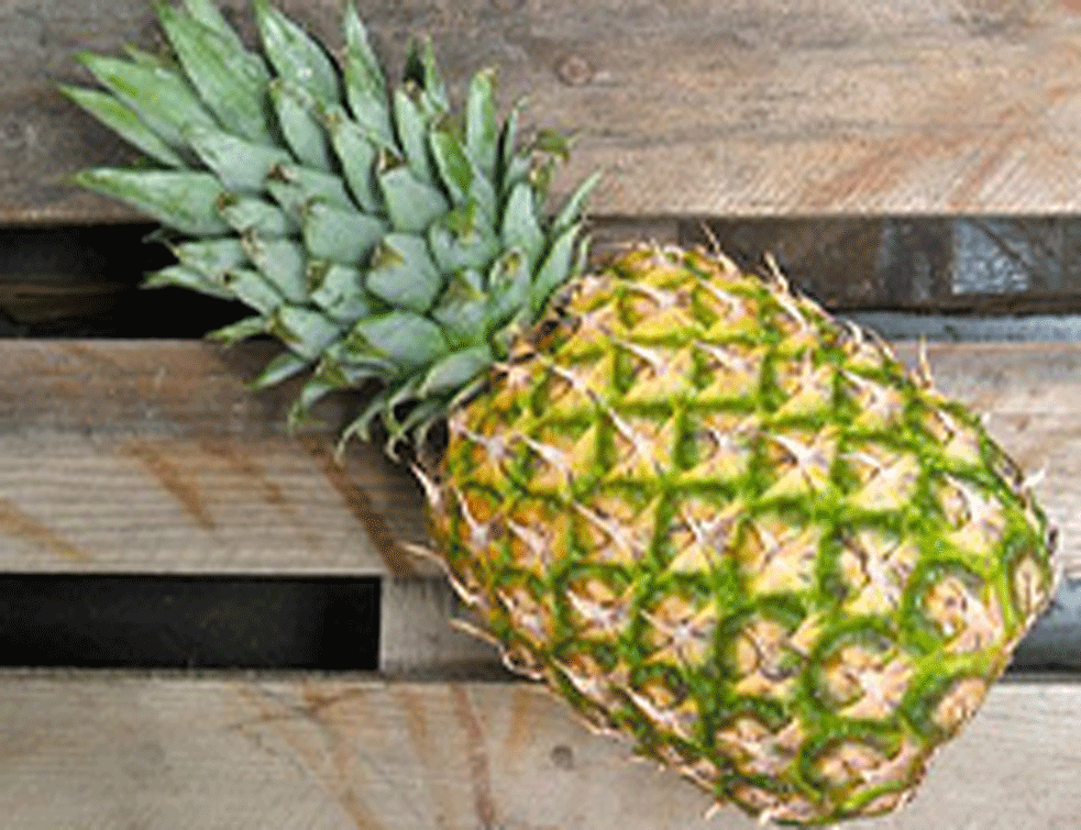 NIJE ZA BACANJE: Kako da iskoristite koru od ananasa i banane?