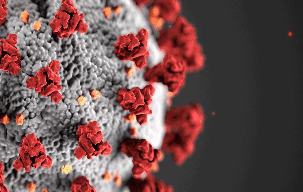 DVOCIFREN BROJ PREMINULIH: Zvanično 2.747 novih slučajeva koronavirusa