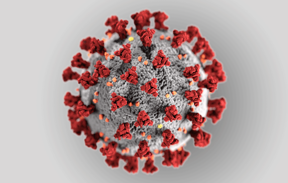 JUČE DVOCIFREN BROJ PREMINULIH: Zvanično 2.745 novih slučajeva koronavirusa