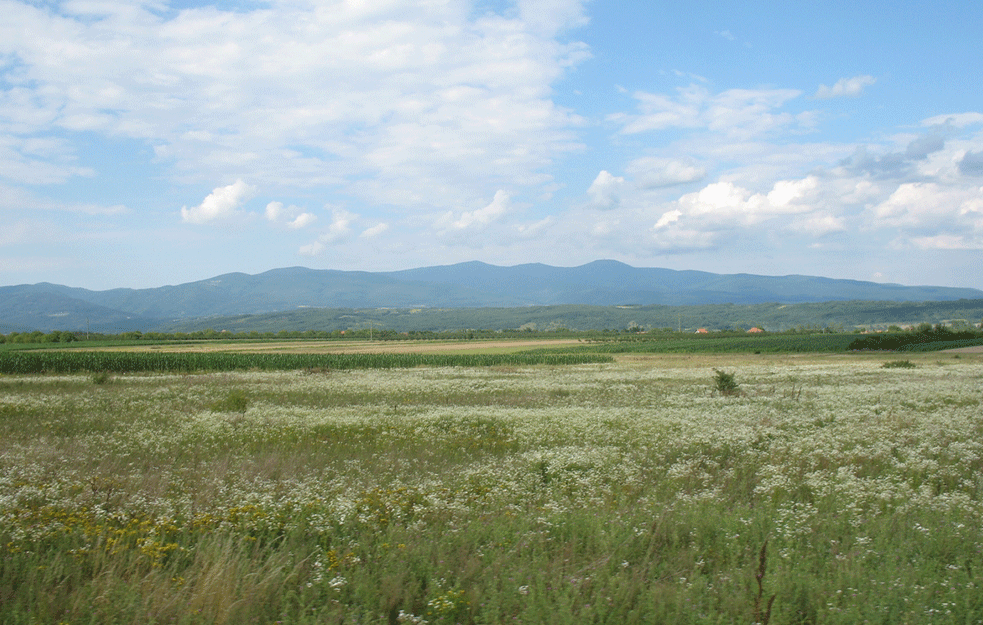 DA LI STE POSETILI <span style='color:red;'><b>JASTREBAC</b></span>? Znate li po čemu je ova naša PLANINA SPECIFIČNA?