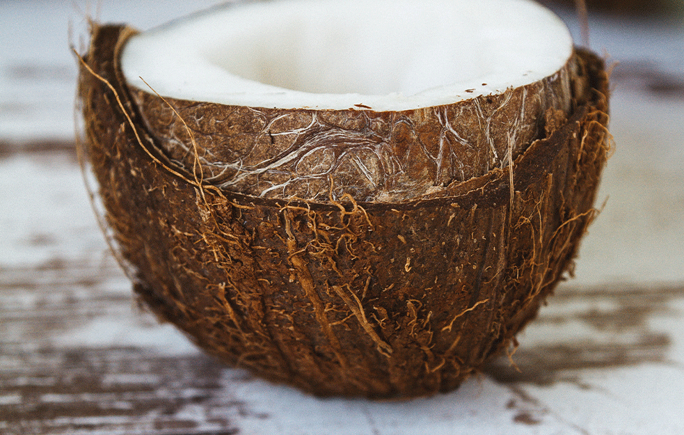 Konzumirate li kokos? Znate li šta sve leči ova magična biljka?