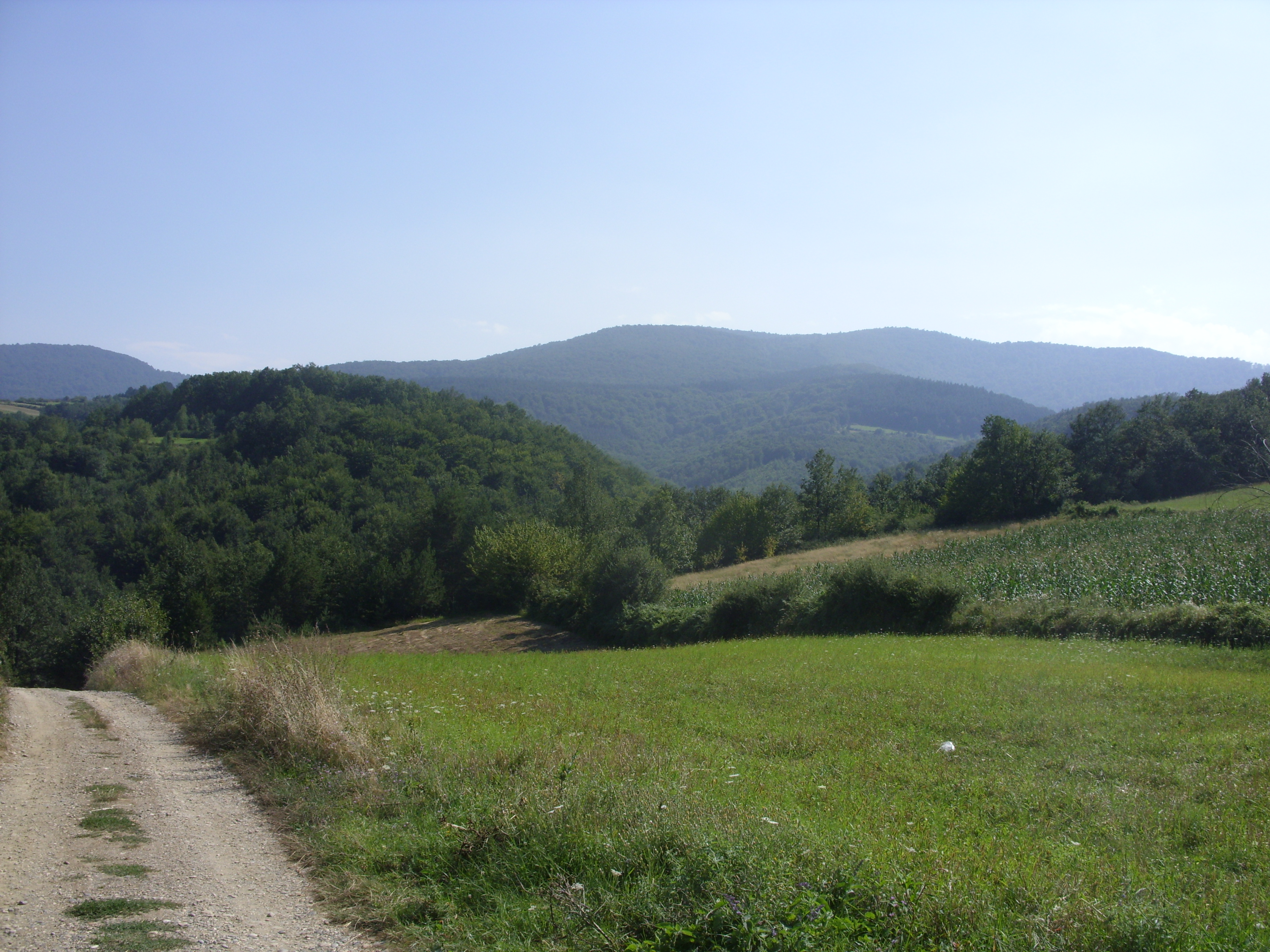 Foto: Wikimedia