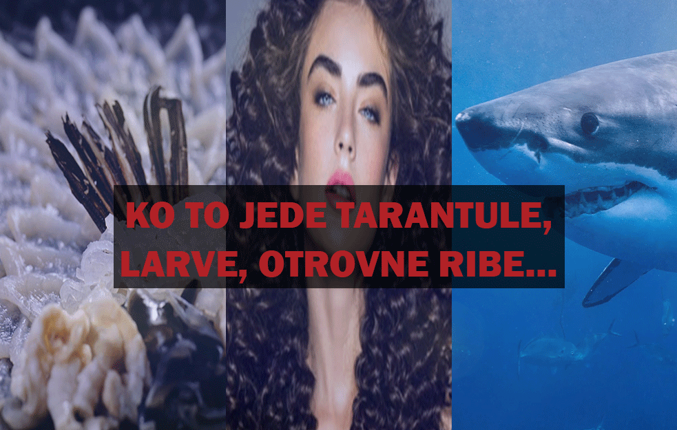 TOP VESTI 17.07.2020. - KO TO JEDE TARANTULE, LARVE, OTROVNE RIBE…