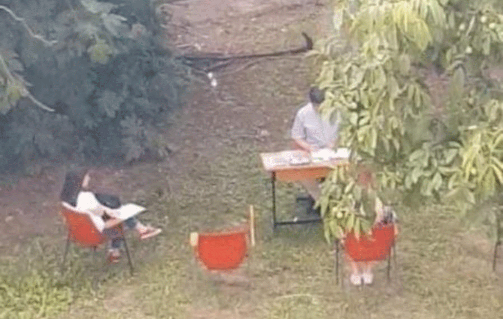 HIT! OVO MOŽE SAMO U SRBIJI! Profesor drži studentima ispit iz <span style='color:red;'><b>patolog</b></span>ije - POD ORAHOM! (FOTO)
