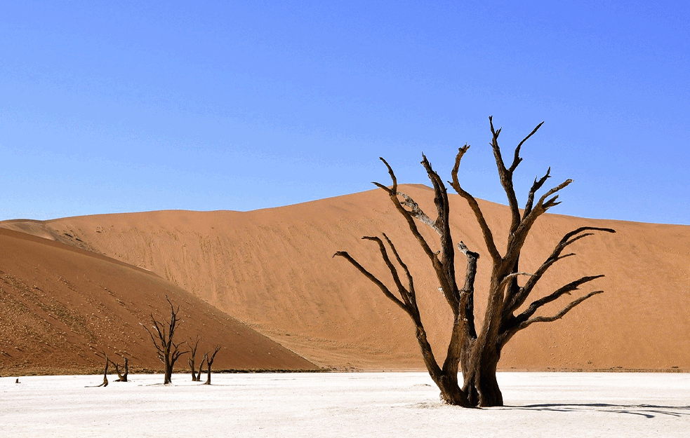 AFRIKA PUCA NA DVA DELA: Zemlja bi mogla da dobije NOVI OKEAN?