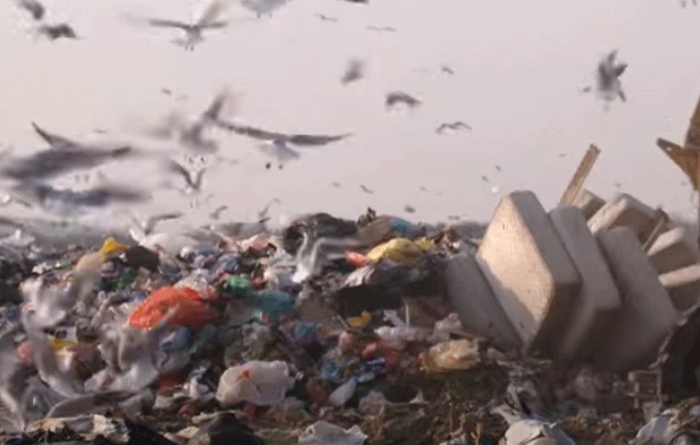 Meštatin Ivanjice istovario pun kamion smeća: Sve više divljih deponija