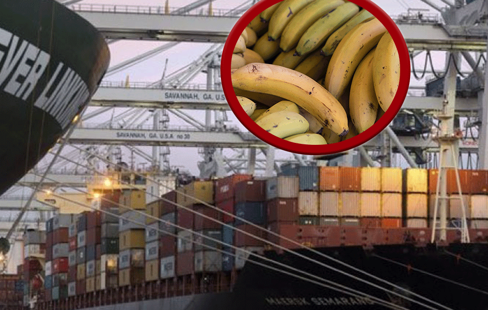 BANANE PREPUNE DROGE: Posle hapšenja kriminalnih grupa u Hrvatskoj pronađeno i 30 kilograma kokaina