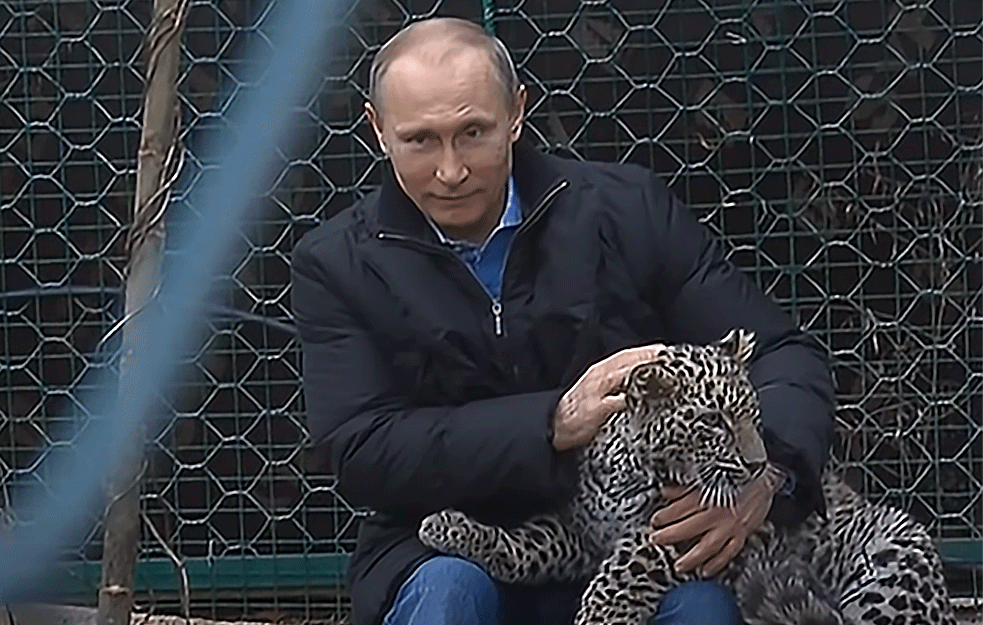 'SKROMNI' PUTIN u 2019. zaradio KOLIKO i DŽEPARAC prosečnog ruskog TAJKUNA!
