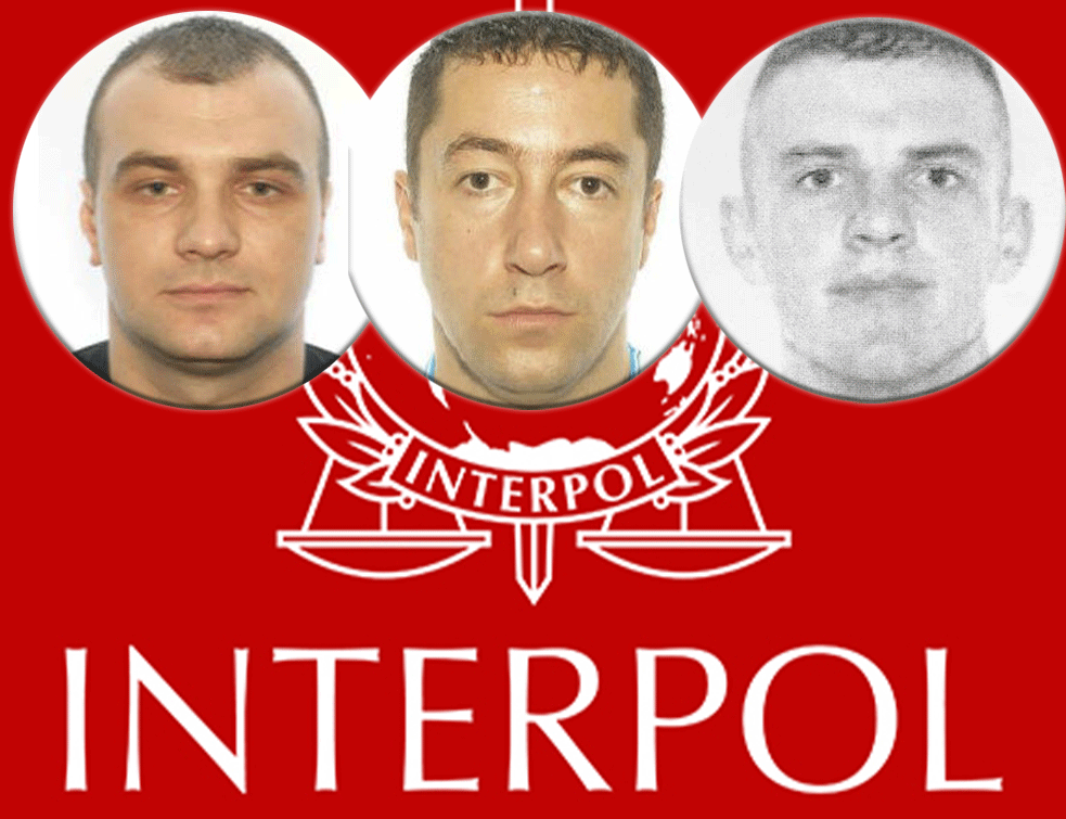 CRNOGORCI NA CRVENOJ POTERNICI INTERPOLA: Ubistva, pljačke, droga, bekstva kao na filmu i bizarna KRAĐA KAZANA ZA RAKIJU!